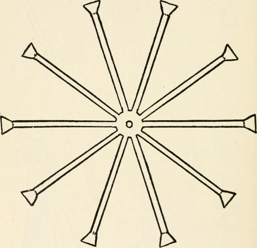An illustration from Indoor and outdoor recreations for girls, 1906, leaf 167