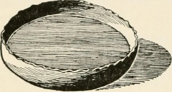 An illustration from Indoor and outdoor recreations for girls, 1906, leaf 175