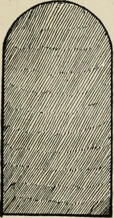 An illustration from Indoor and outdoor recreations for girls, 1906, leaf 198