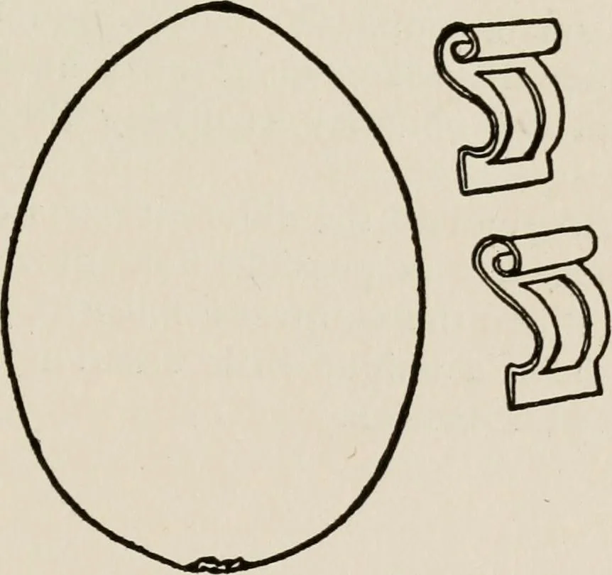 An illustration from Indoor and outdoor recreations for girls, 1906, leaf 204