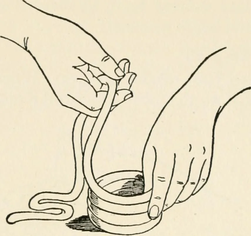 An illustration from Indoor and outdoor recreations for girls, 1906, leaf 211