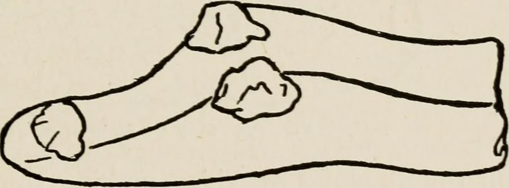 An illustration from Indoor and outdoor recreations for girls, 1906, leaf 216