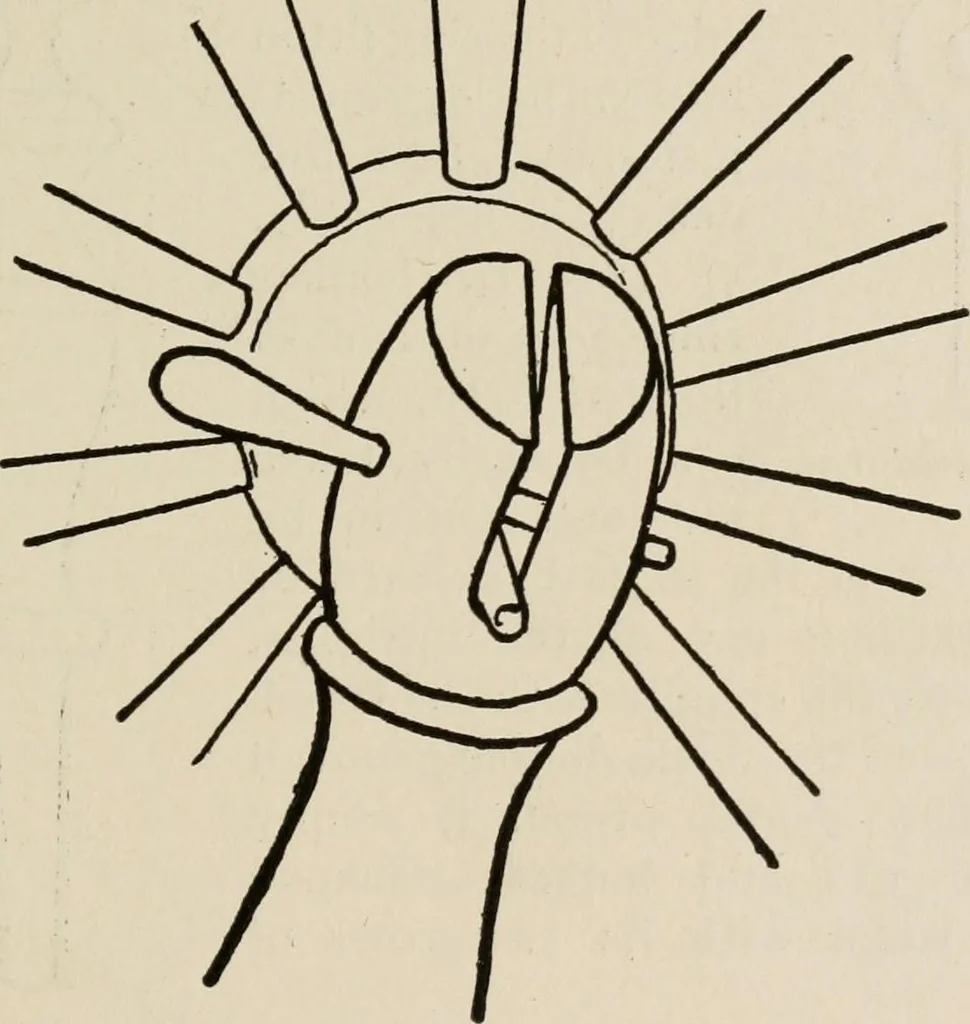 An illustration from Indoor and outdoor recreations for girls, 1906, leaf 22