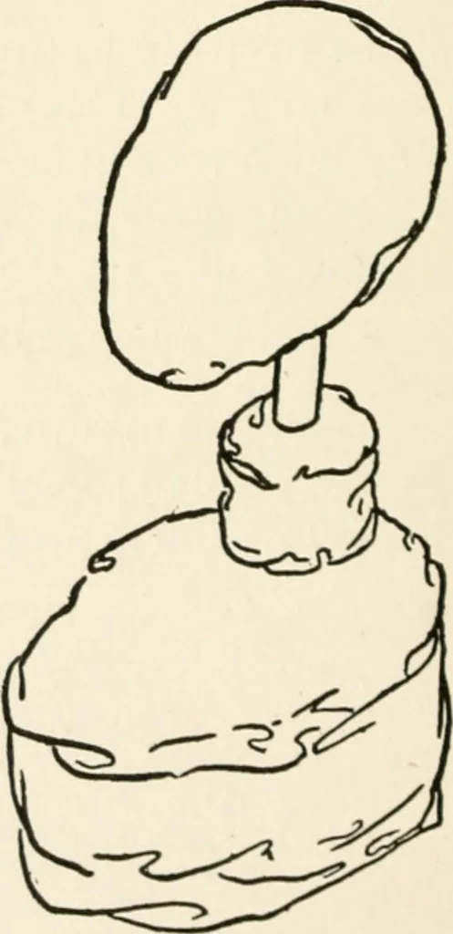 An illustration from Indoor and outdoor recreations for girls, 1906, leaf 223