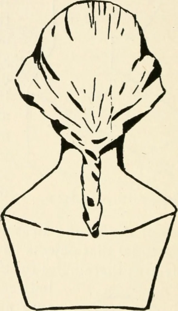An illustration from Indoor and outdoor recreations for girls, 1906, leaf 225