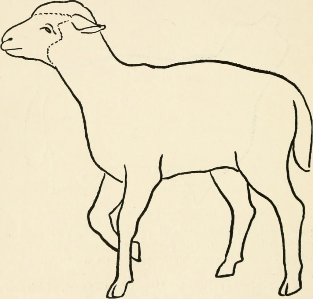 An illustration from Indoor and outdoor recreations for girls, 1906, leaf 241