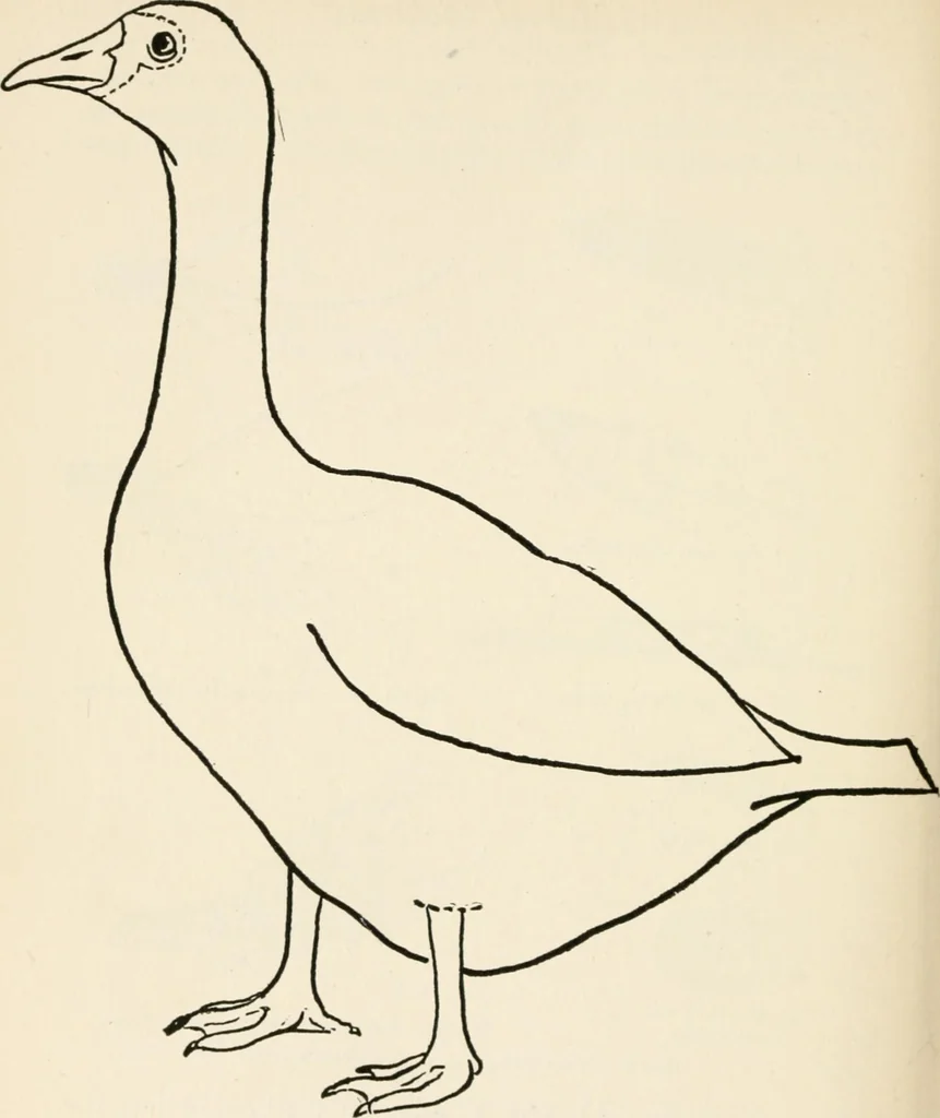 An illustration from Indoor and outdoor recreations for girls, 1906, leaf 243