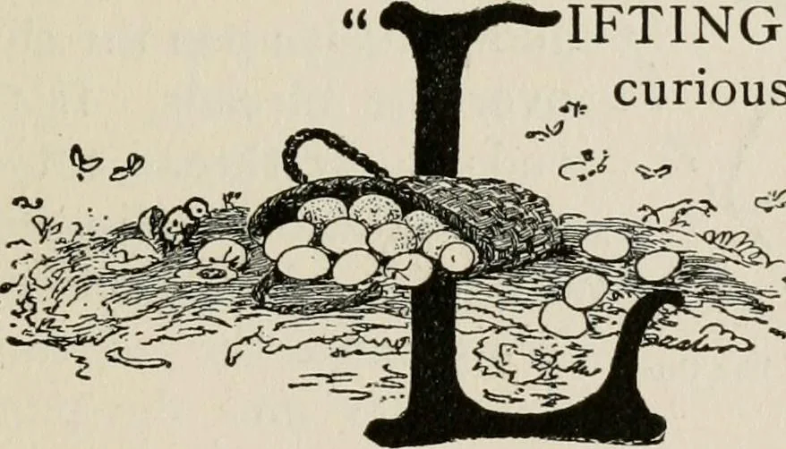 An illustration from Indoor and outdoor recreations for girls, 1906, leaf 250