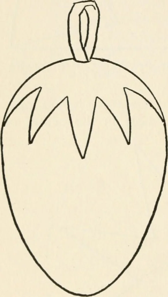 An illustration from Indoor and outdoor recreations for girls, 1906, leaf 257