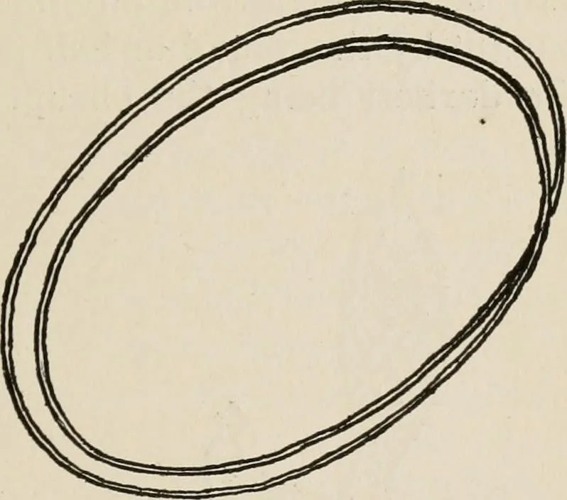 An illustration from Indoor and outdoor recreations for girls, 1906, leaf 26
