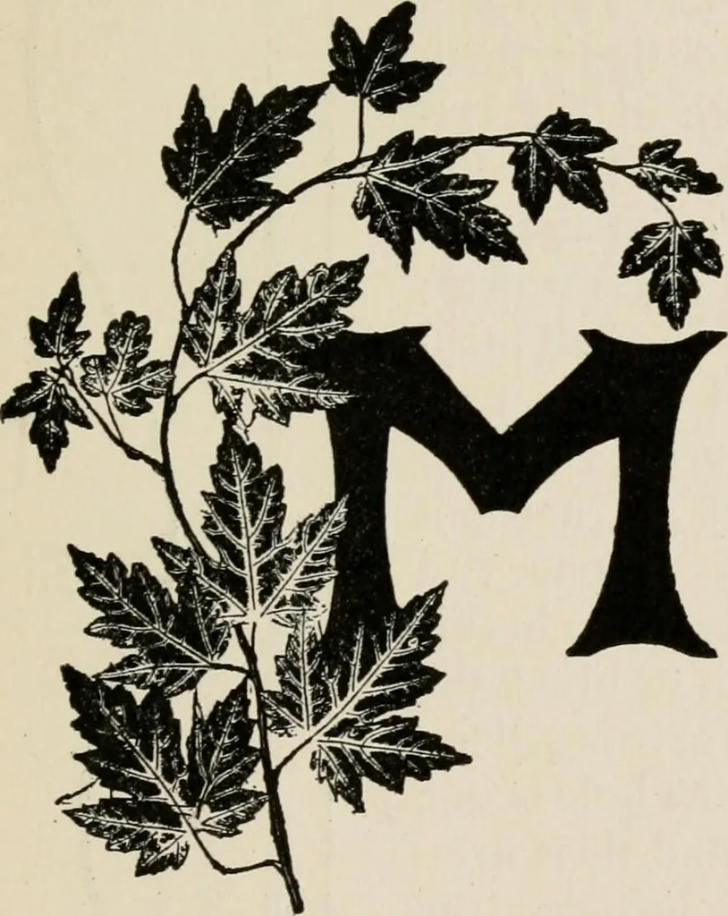 An illustration from Indoor and outdoor recreations for girls, 1906, leaf 260