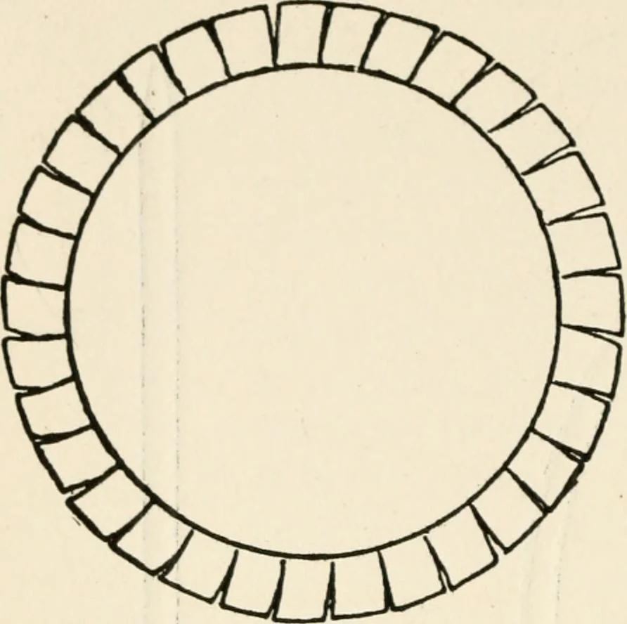 An illustration from Indoor and outdoor recreations for girls, 1906, leaf 263