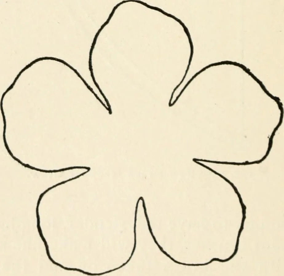 An illustration from Indoor and outdoor recreations for girls, 1906, leaf 263
