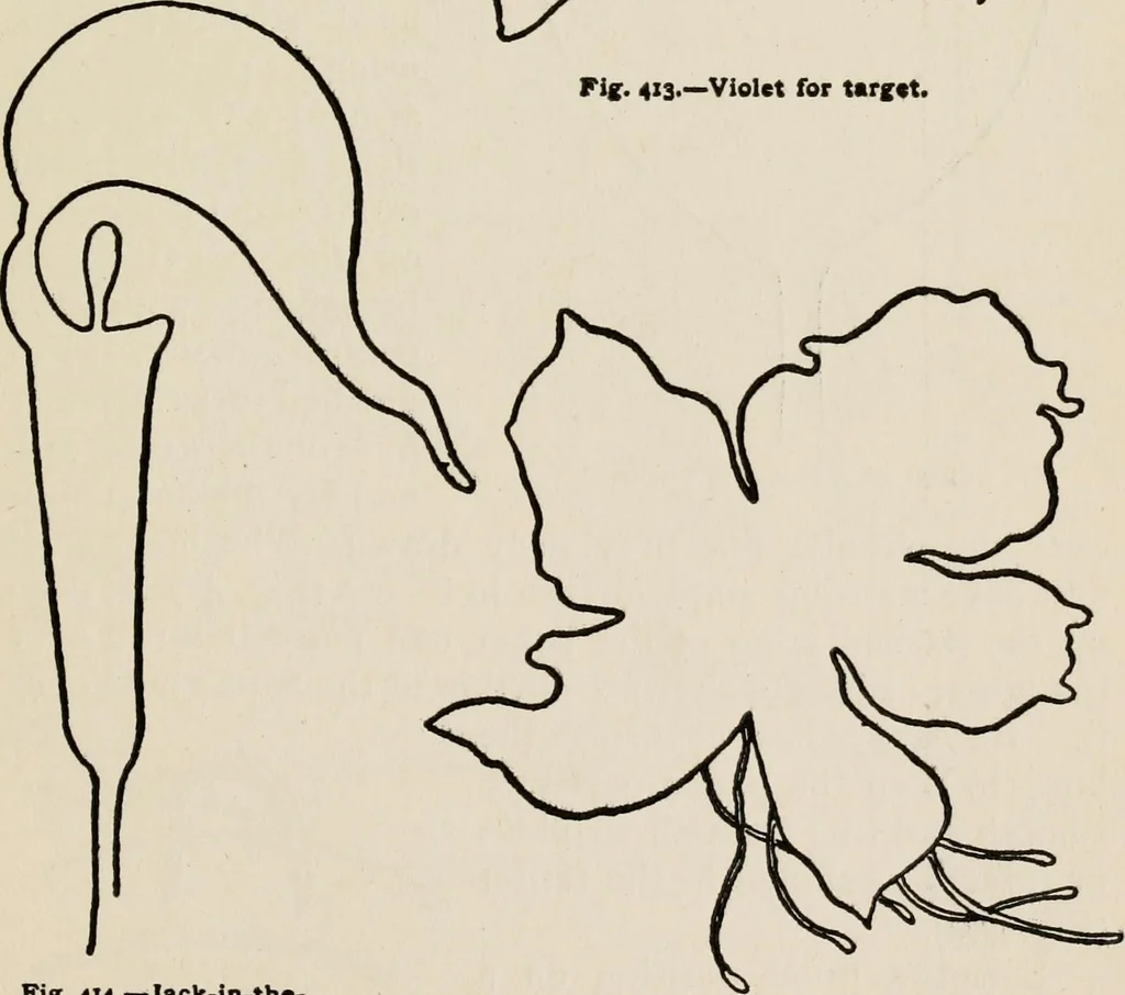 An illustration from Indoor and outdoor recreations for girls, 1906, leaf 264