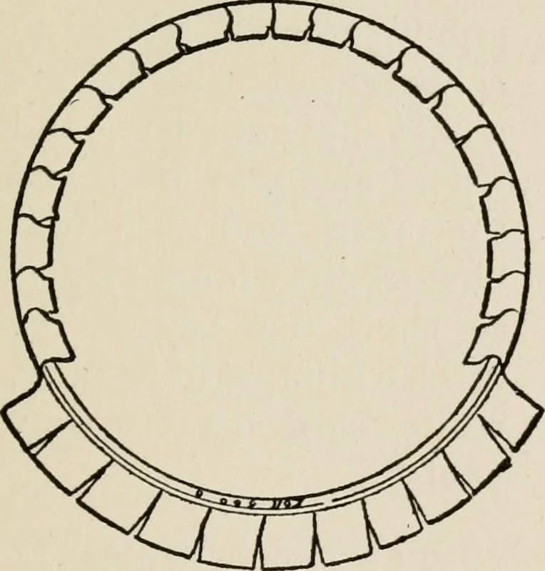 An illustration from Indoor and outdoor recreations for girls, 1906, leaf 268