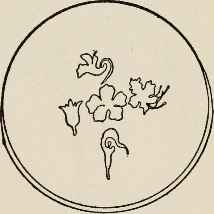 An illustration from Indoor and outdoor recreations for girls, 1906, leaf 268