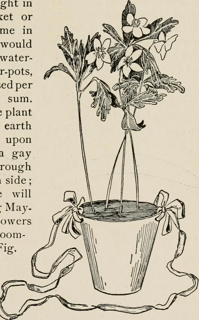 An illustration from Indoor and outdoor recreations for girls, 1906, leaf 270