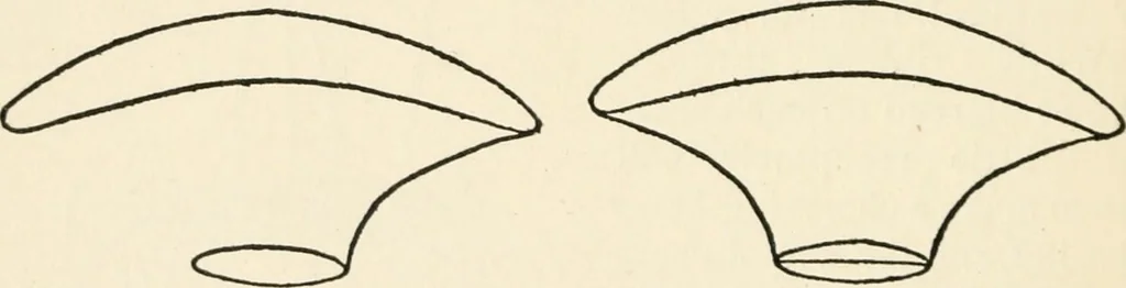 An illustration from Indoor and outdoor recreations for girls, 1906, leaf 271