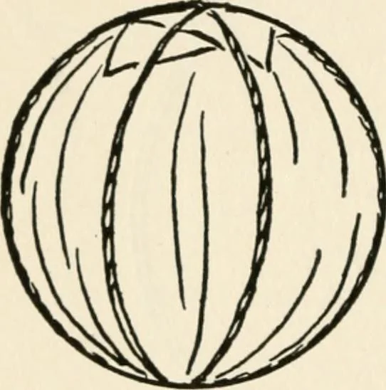 An illustration from Indoor and outdoor recreations for girls, 1906, leaf 279