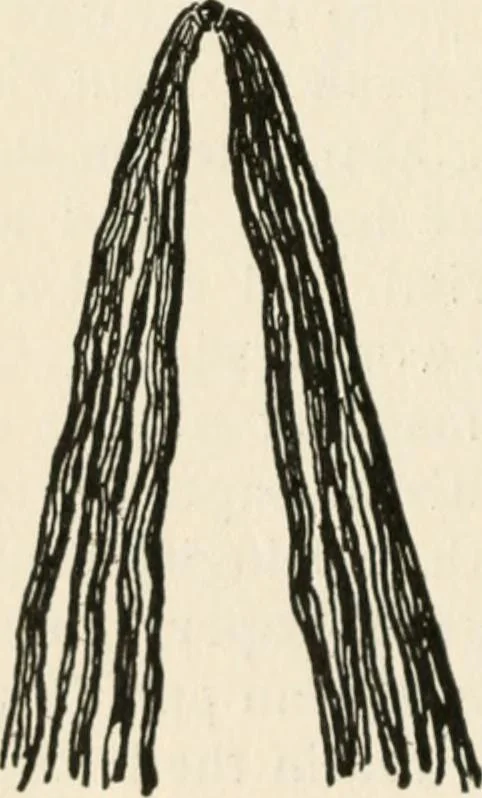 An illustration from Indoor and outdoor recreations for girls, 1906, leaf 285