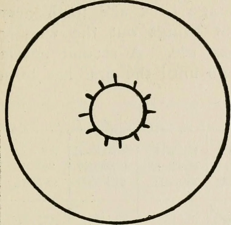 An illustration from Indoor and outdoor recreations for girls, 1906, leaf 286