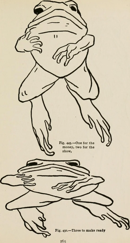 An illustration from Indoor and outdoor recreations for girls, 1906, leaf 294