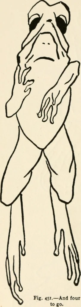 An illustration from Indoor and outdoor recreations for girls, 1906, leaf 295