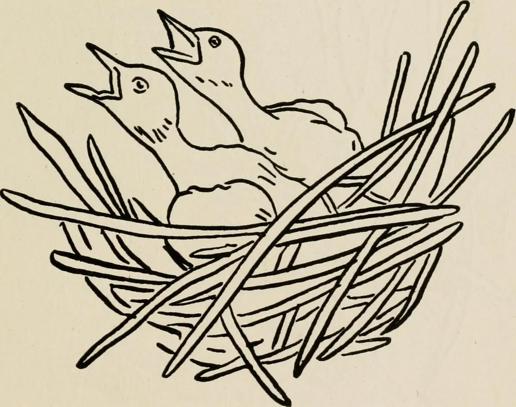 An illustration from Indoor and outdoor recreations for girls, 1906, leaf 296