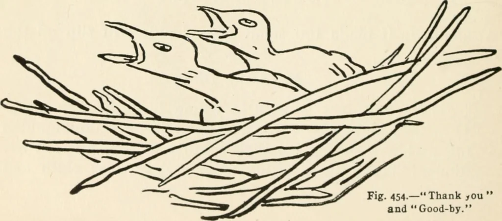 An illustration from Indoor and outdoor recreations for girls, 1906, leaf 297