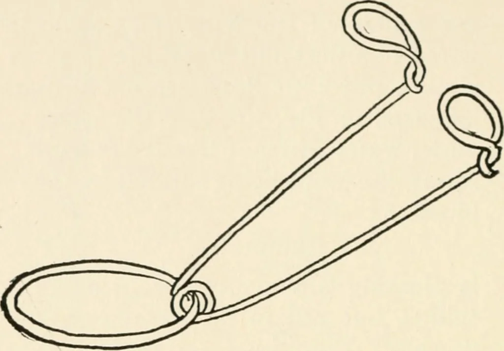 An illustration from Indoor and outdoor recreations for girls, 1906, leaf 325