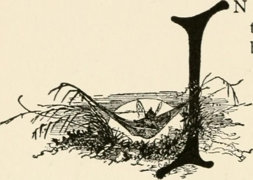 An illustration from Indoor and outdoor recreations for girls, 1906, leaf 327