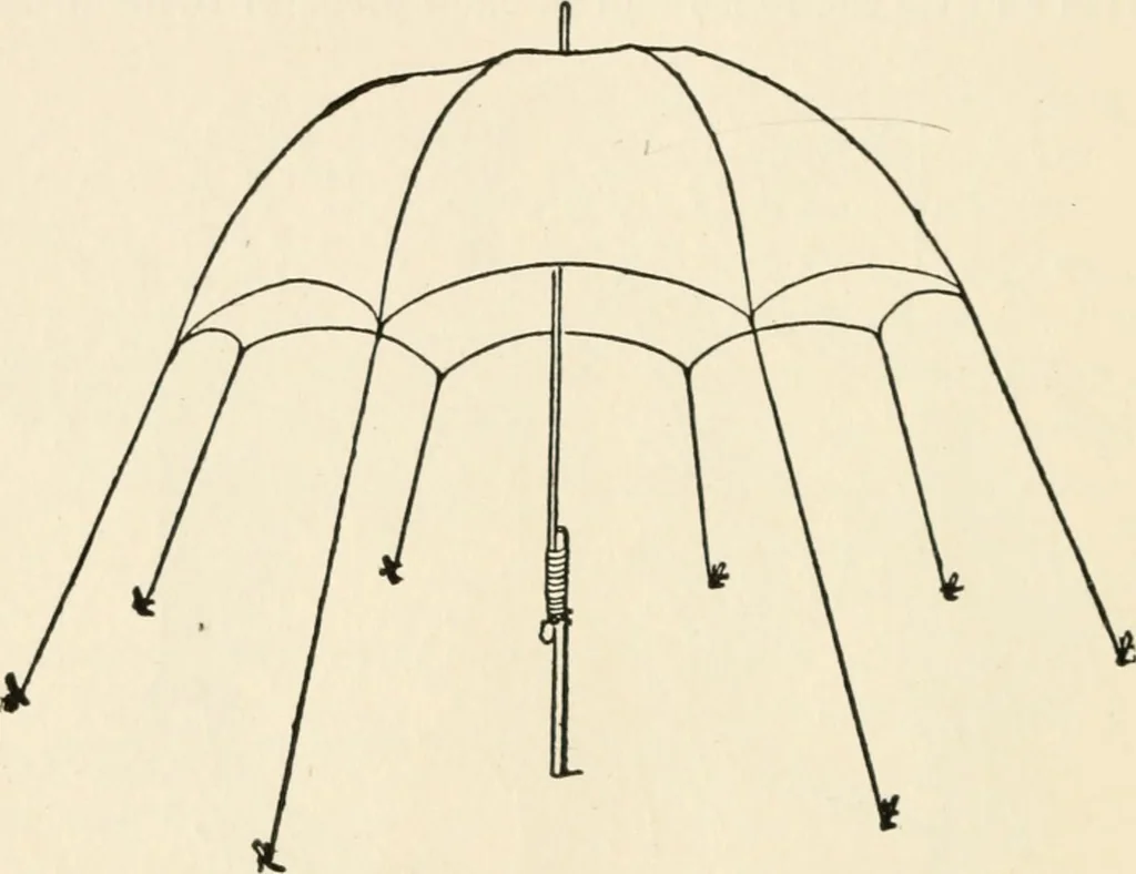 An illustration from Indoor and outdoor recreations for girls, 1906, leaf 329