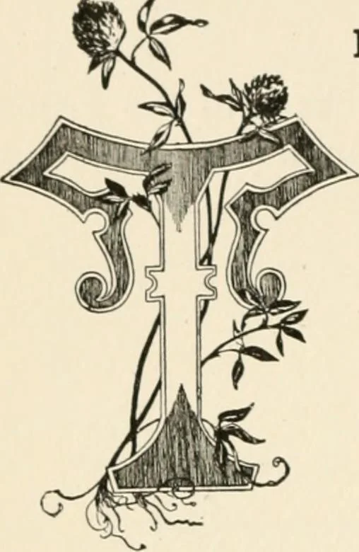 An illustration from Indoor and outdoor recreations for girls, 1906, leaf 337