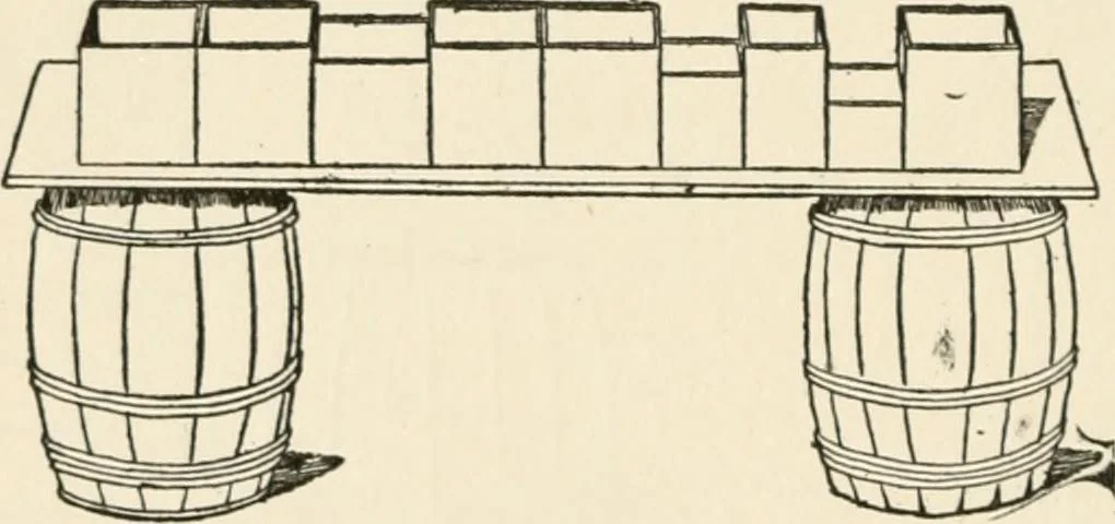An illustration from Indoor and outdoor recreations for girls, 1906, leaf 341