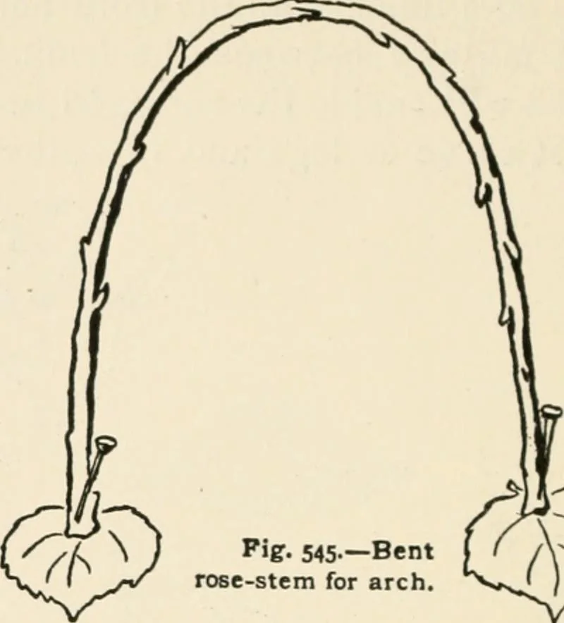 An illustration from Indoor and outdoor recreations for girls, 1906, leaf 355