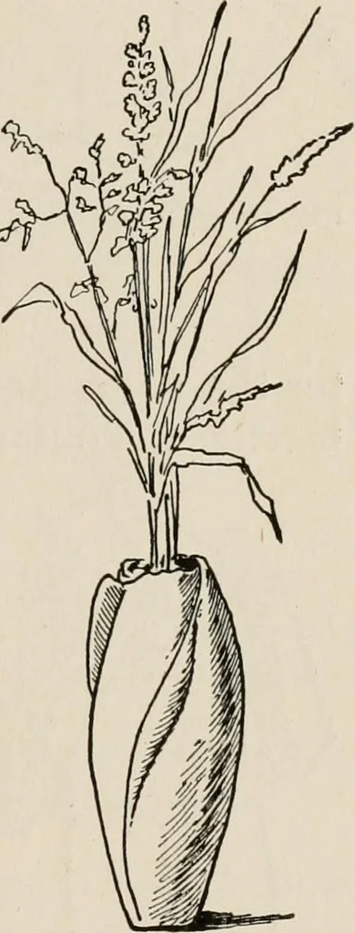 An illustration from Indoor and outdoor recreations for girls, 1906, leaf 356