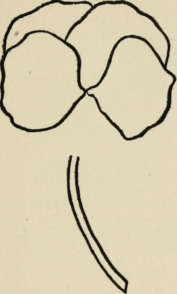 An illustration from Indoor and outdoor recreations for girls, 1906, leaf 358