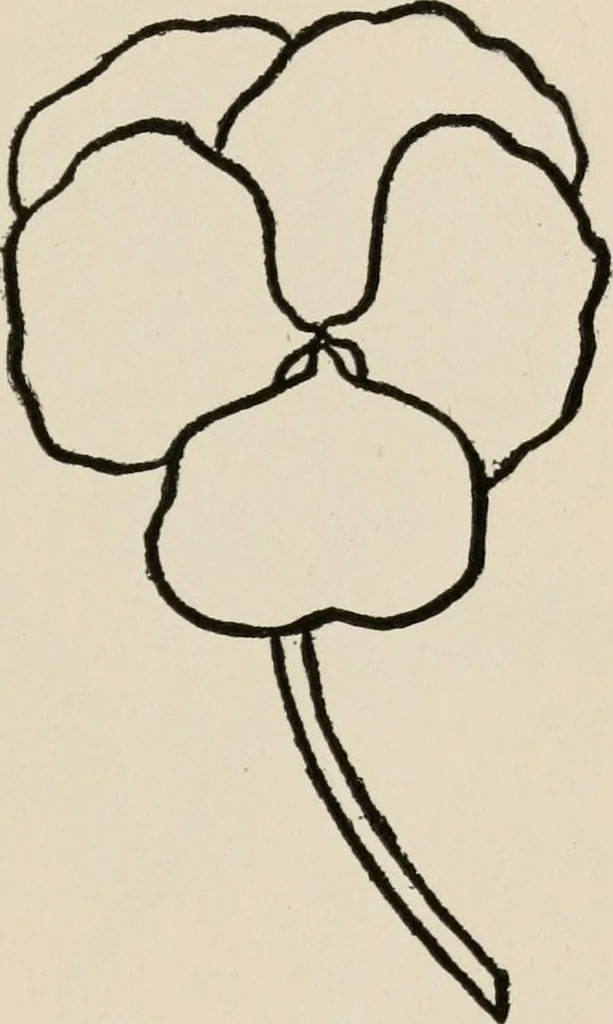 An illustration from Indoor and outdoor recreations for girls, 1906, leaf 358