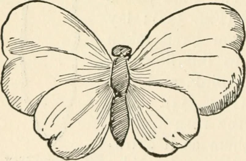 An illustration from Indoor and outdoor recreations for girls, 1906, leaf 359