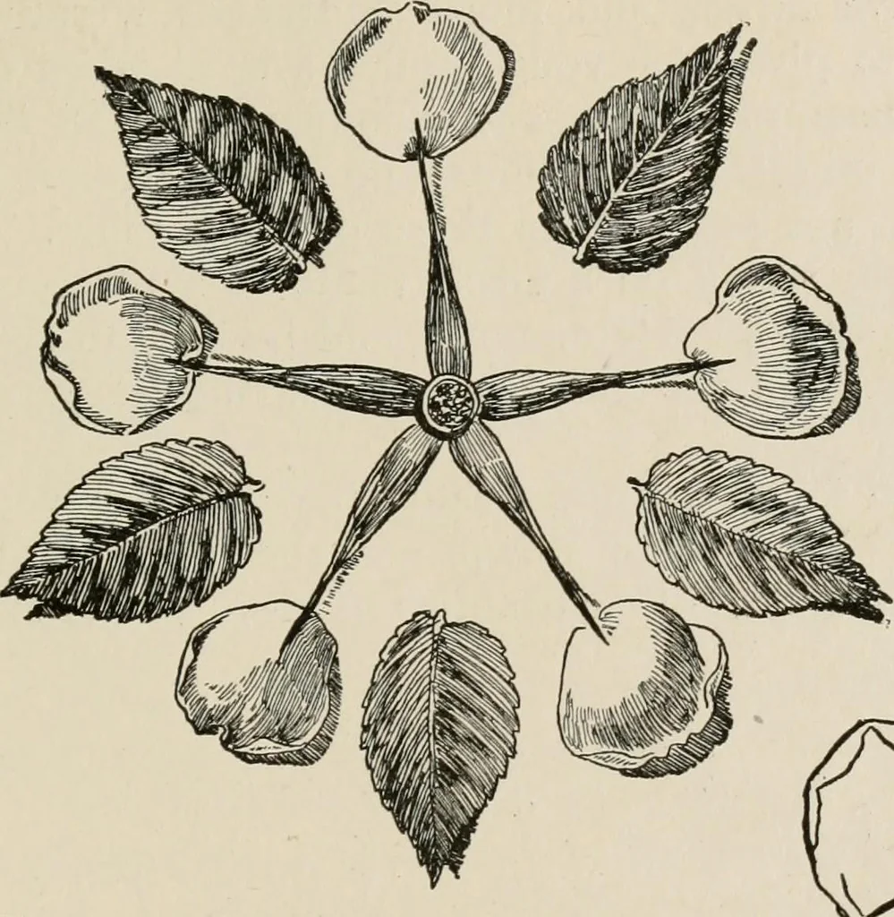 An illustration from Indoor and outdoor recreations for girls, 1906, leaf 360