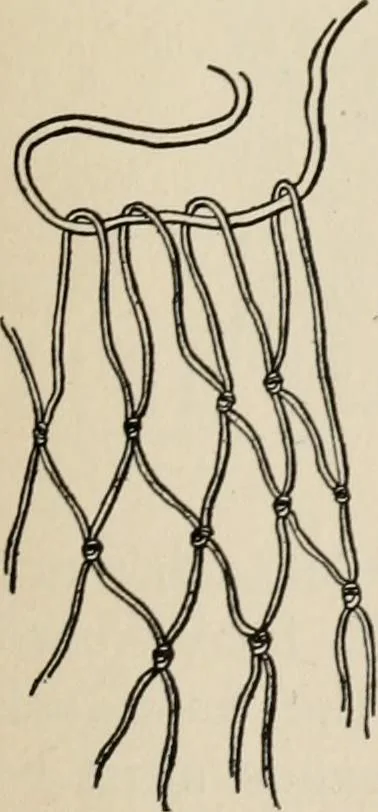 An illustration from Indoor and outdoor recreations for girls, 1906, leaf 48
