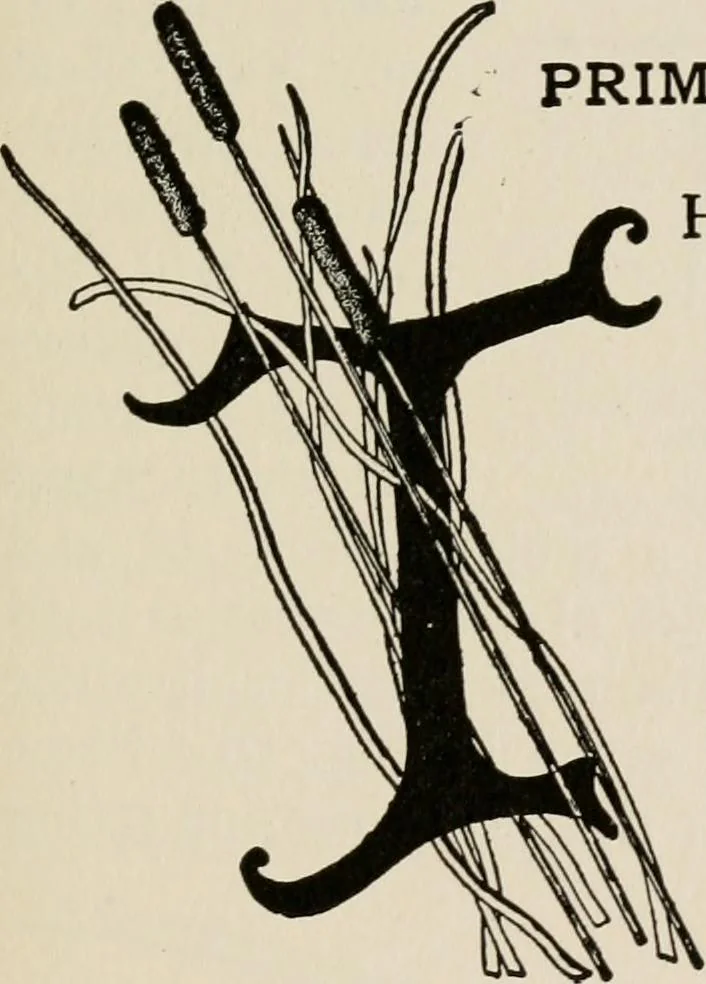 An illustration from Indoor and outdoor recreations for girls, 1906, leaf 60