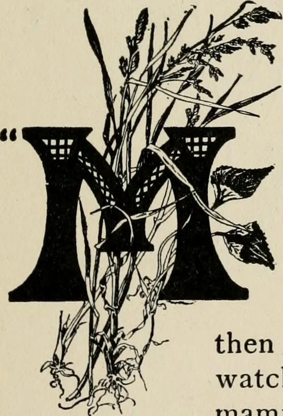An illustration from Indoor and outdoor recreations for girls, 1906, leaf 70