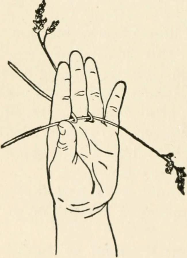 An illustration from Indoor and outdoor recreations for girls, 1906, leaf 71
