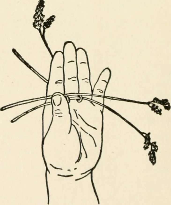An illustration from Indoor and outdoor recreations for girls, 1906, leaf 71