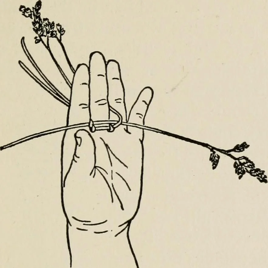 An illustration from Indoor and outdoor recreations for girls, 1906, leaf 72