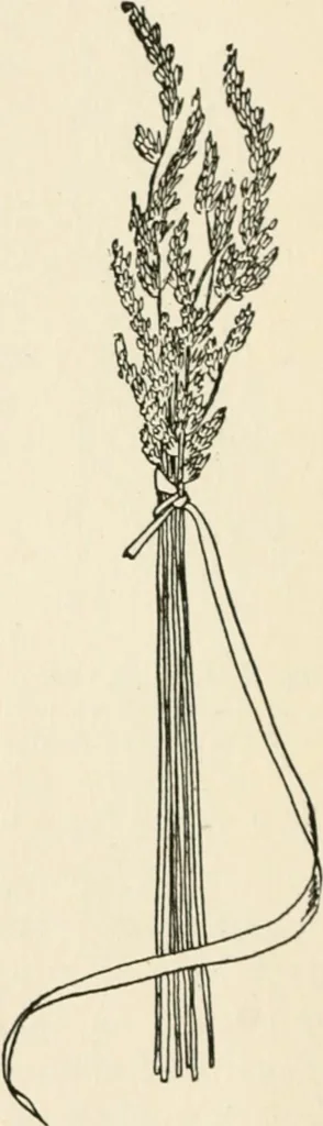 An illustration from Indoor and outdoor recreations for girls, 1906, leaf 75
