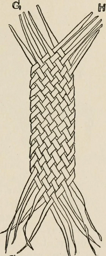 An illustration from Indoor and outdoor recreations for girls, 1906, leaf 78