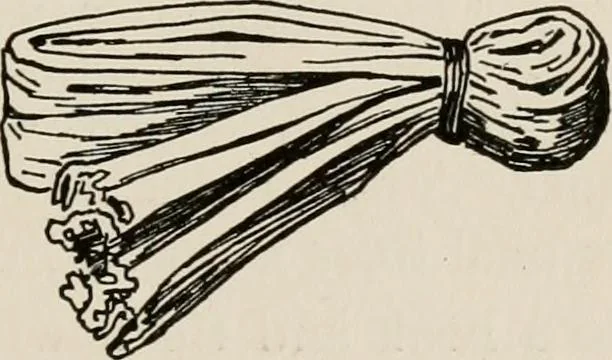 An illustration from Indoor and outdoor recreations for girls, 1906, leaf 98