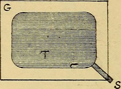An illustration from Induction coils : how to make, use, and repair them including Ruhmkorff, Tesla, and medical coils, Roentgen radiography, wireless telegraphy, and practical information on primary and secondary battery, 1901, leaf 129